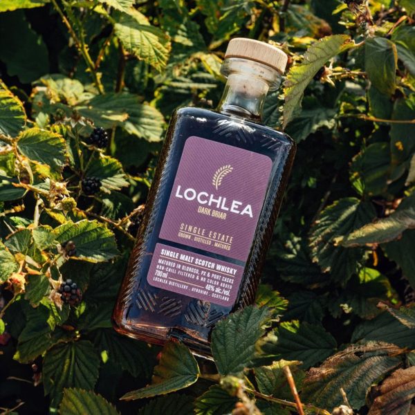 Lochlea Dark Briar